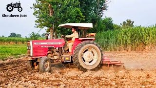 Massey Ferguson 385 Tractor Working With 11 Tine Cultivator In Fields | Shoukeen Jutt