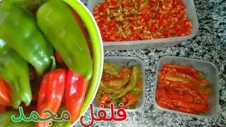 كيفاش تحضري فلفل 🫑🌶️ مجمد الثلاجة | كتصبر لأكثر مدة كتجي رائعة 😋