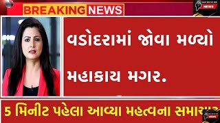 વડોદરામાં જોવા મળ્યો મહાકાય મગર. #rain #gujarat #news #viralvideo