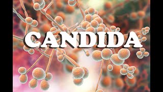 The Shocking Truth About Candida Overgrowth!