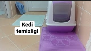 Kedi bakımı #kedivlog