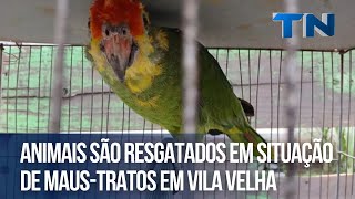 Animais são resgatados em situação de maus-tratos em Vila Velha