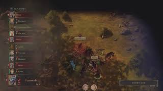 Pathfinder: Kingmaker 9