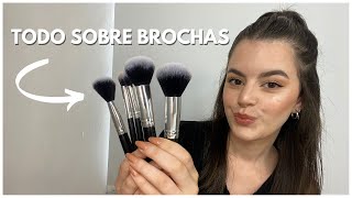 BROCHAS DE MAQUILLAJE: diferentes usos, recomendaciones, cómo limpiarlas y más!!