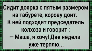 Как Доярка Председателя Наказала! Сборник Свежих Анекдотов! Юмор!