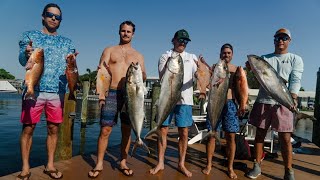 Spearfishing St. Pete Beach - Amberjack, Hogfish & Snapper