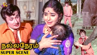 M.G.R Beats and Punishing Ramu Elephant | Very Emotional Scene - Nalla Neram | K.R.Vijaya, Nagesh