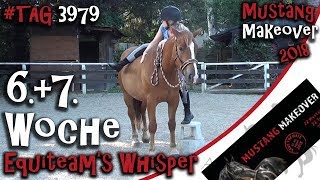 Ich steige auf - Woche 6 + 7 mit Equiteam's Whisper - TAG 3979 - Mustang Makeover