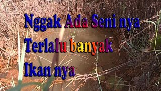 Mancing Betok || Ikan nya kumpul disini