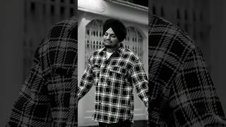 haeni je vich nasiba de, Sidhu museaala #shortssearch #love  #sidhumoosewala #sidhumoosewalafans