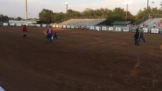 Mutton bustin Evelyn rides 2017