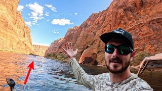 We Fished in One of the Most Beautiful Desert Rivers (Tons of Fish!)