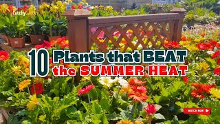 TOP 10 Plants that BEAT the SUMMER HEAT 🌱🌼🌡️🌻 // Gardening Ideas