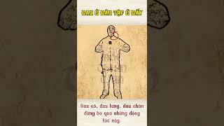 Đau ở đâu tập ở đấy - đừng bỏ qua những động tác này. #mocthientamspa #top #songkhoemoingay