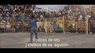 pecas de oro de destructores con chilitos de san agustin en la noria guanajuato 2022