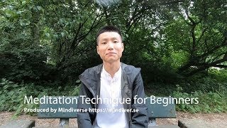 How to Meditate Properly: Meditation Technique for Beginners