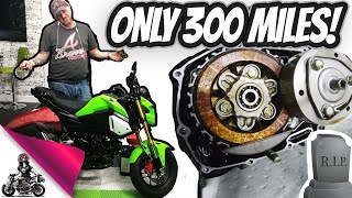 2019 Honda Grom Clutch Destroyed!