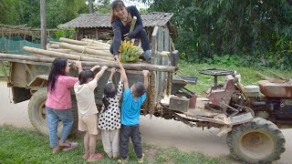 Building farm single life. Harvest ripe bananas. Carry firewood to sell - Gia Bảo