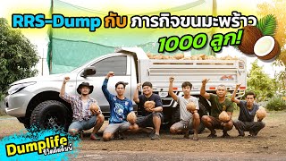 Dumplife ชีวิตติดดั้มพ์ : กระบะดั้มพ์ RRS กับภารกิจขนมะพร้าวช่วยเพื่อน 1000 ลูก