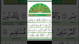 Surah Yasin | Yaseen | Beautiful Recitation #shorts #yasin #quranrecitation