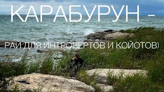 Дикая природа пляжей Карабуруна