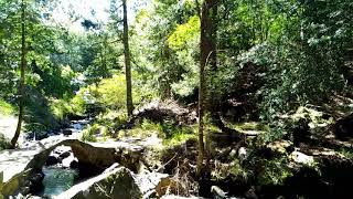 SNIPPETS: The Swallow's Tail Waterfalls at Hogsback