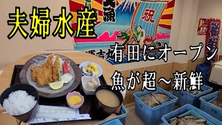 今日は有田にオープンした魚が美味しい夫婦水産【和歌山】【和歌山グルメ】