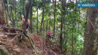 El Yunque Rainforest / Puerto Rico