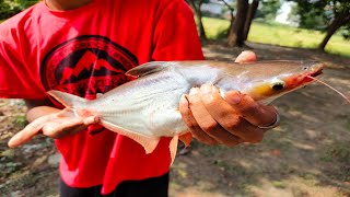 Natural Hook Fishing - Traditional Hook Fishing In Village | Hook Fishing in Pond | Fishing video