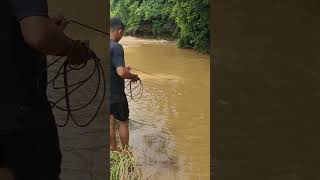 Lempar jala ikan sungai #nelayansungai #berburuikansungai#sungaiairkeruh