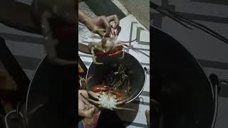 चिंबोऱ्यांची बिल खणाला गेलतो बघा कसा काम 25 केलाय🦀  #crab #fishing #explore #trending #ekvira #kokan