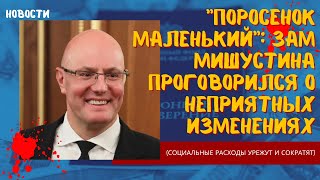 Поросенок маленький: зам Мишустина проговорился о неприятных изменениях (социальные расходы урежут)