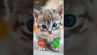 Mittens Cat Calling us ❤️💞 #cats #shorts #animations