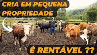 CRIA em PEQUENA PROPRIEDADE, é RENTÁVEL ??