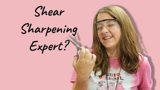 Can you learn shear sharpening from watching videos? Answer from a 12-year-old