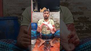 Amazing Pangash Fish Cutting Skills #ytshorts#shorts_videos  #Fish Cutting 💥💥