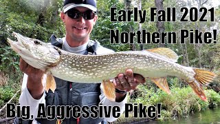 Indiana Kayak Fishing: Early Fall, Aggressive Pike 9/19/21