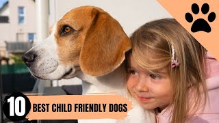 Top 10 Child-Friendly Dogs