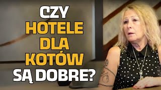 Czy hotele dla kotów są dobre?