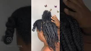 Easy natural hairstyle #simplychisom #naturalhair #short #shorts #4chair #shortvideo #youtube #hair