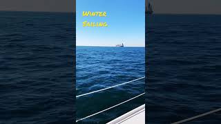 Winter Sailing with Dolphins