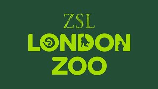 zsl london zoo virtual tour 4k 60fps