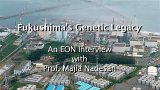 Fukushima's Genetic Legacy - Majia Nadesan