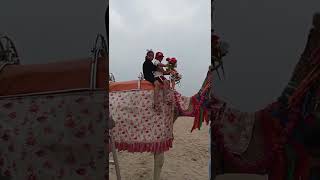 camel ride