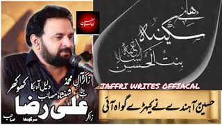 ZAKIR MALIK ALI RAZA KHOKAR SHAHADAT  BIBI SAKINA WHATSAPP STATUS