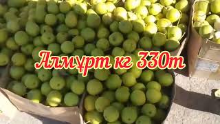 Жібек жолы базары. Көтерме базар.  Шымкент "Жібек жолы" базары.