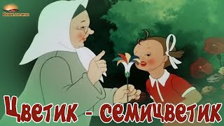 Викторина по сказке В. Катаева "Цветик-семицветик". Нахабинская городская библиотека