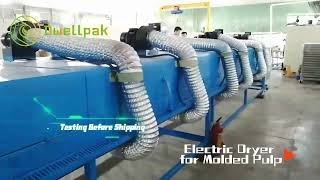 Electric Dryer for Molded Pulp from Dwellpak