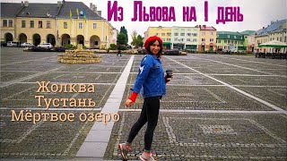 Из Львова на один день: украино-польский городок, разрушенная крепость и природные красоты