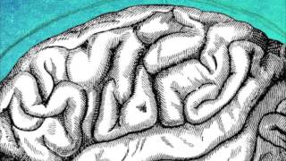 Neurolingüística. El Cerebro y el Lenguaje Humano.